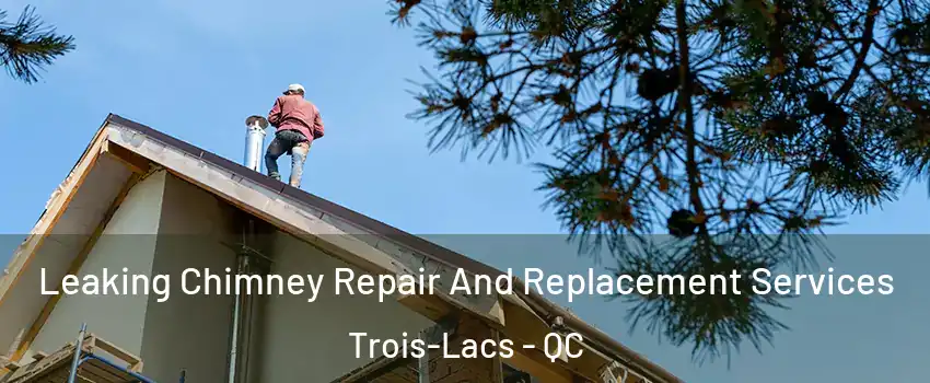  Leaking Chimney Repair And Replacement Services Trois-Lacs - QC