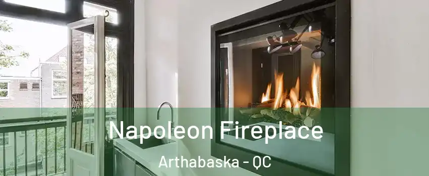  Napoleon Fireplace Arthabaska - QC