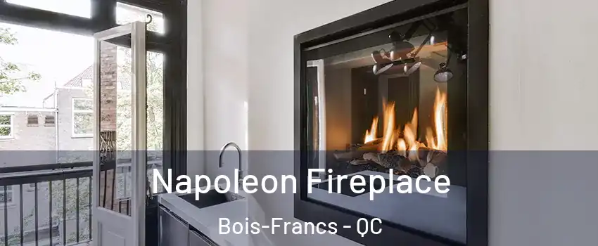  Napoleon Fireplace Bois-Francs - QC