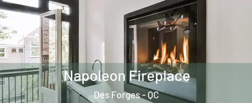  Napoleon Fireplace Des Forges - QC