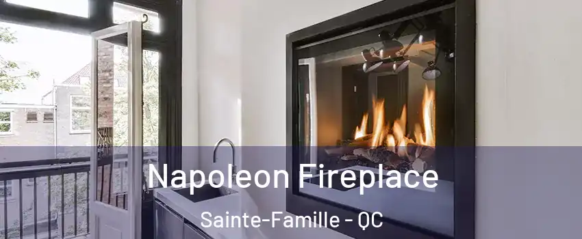  Napoleon Fireplace Sainte-Famille - QC