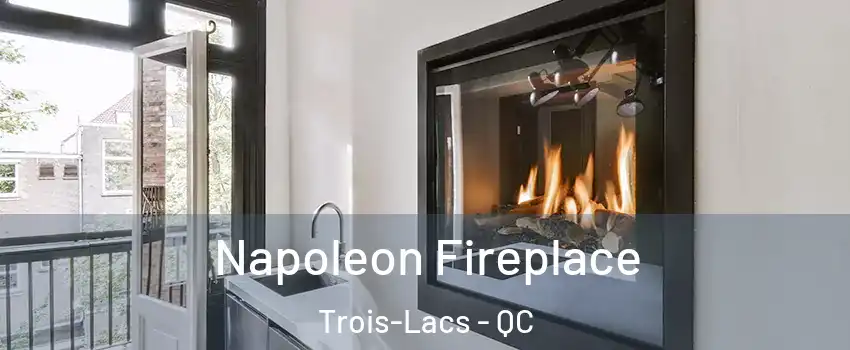  Napoleon Fireplace Trois-Lacs - QC