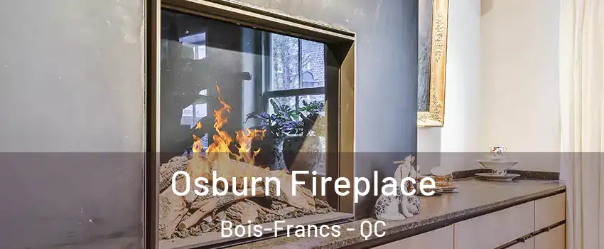  Osburn Fireplace Bois-Francs - QC