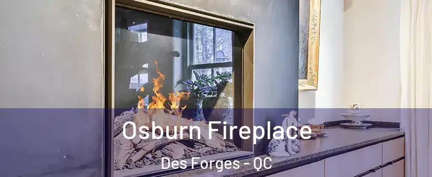  Osburn Fireplace Des Forges - QC