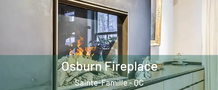  Osburn Fireplace Sainte-Famille - QC
