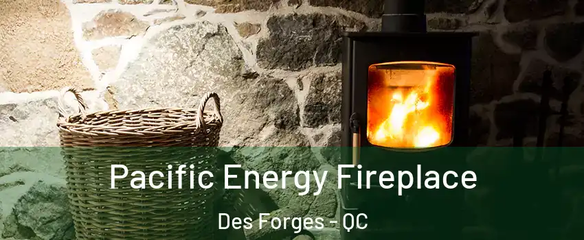  Pacific Energy Fireplace Des Forges - QC