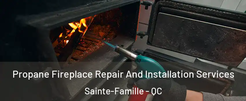  Propane Fireplace Repair And Installation Services Sainte-Famille - QC
