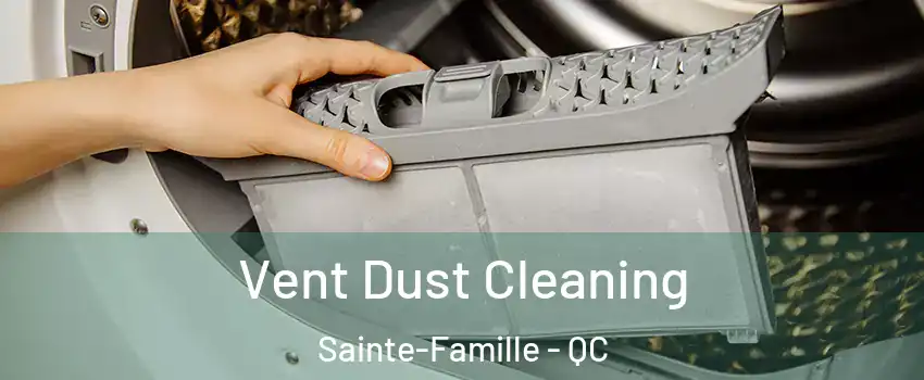  Vent Dust Cleaning Sainte-Famille - QC
