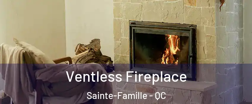  Ventless Fireplace Sainte-Famille - QC