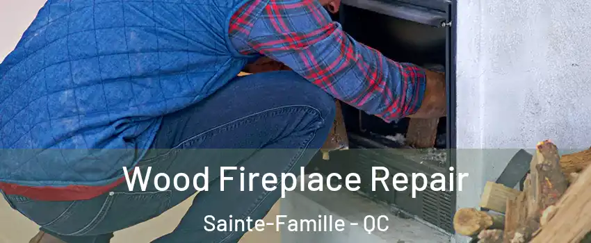  Wood Fireplace Repair Sainte-Famille - QC