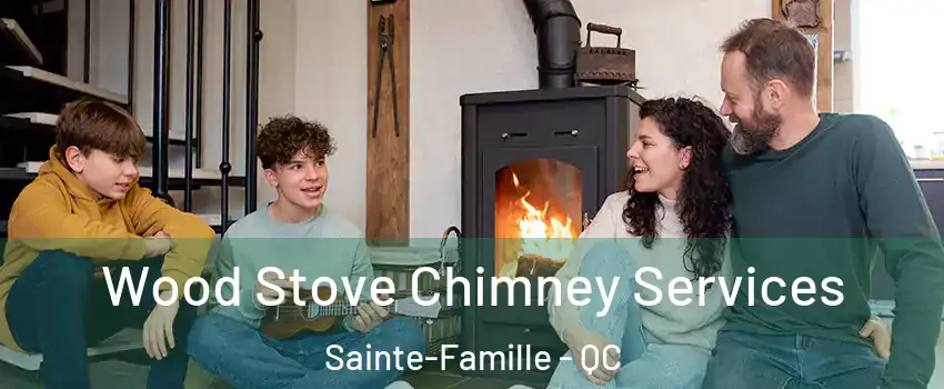  Wood Stove Chimney Services Sainte-Famille - QC