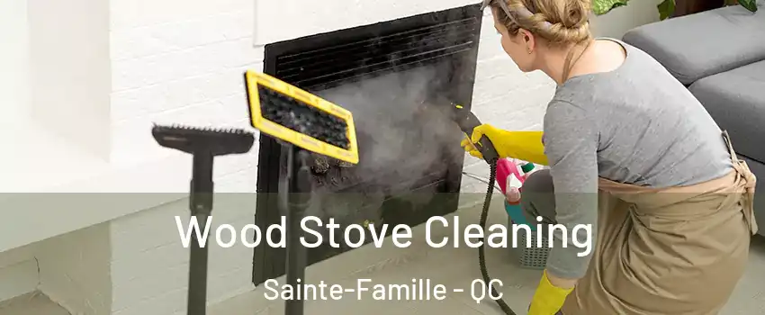  Wood Stove Cleaning Sainte-Famille - QC