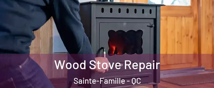  Wood Stove Repair Sainte-Famille - QC